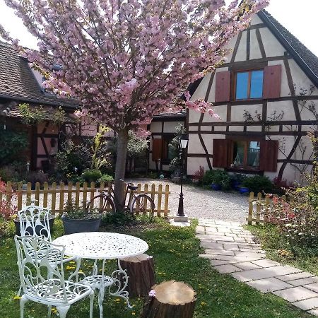 Hissele Bed & Breakfast Hilsenheim Exterior photo